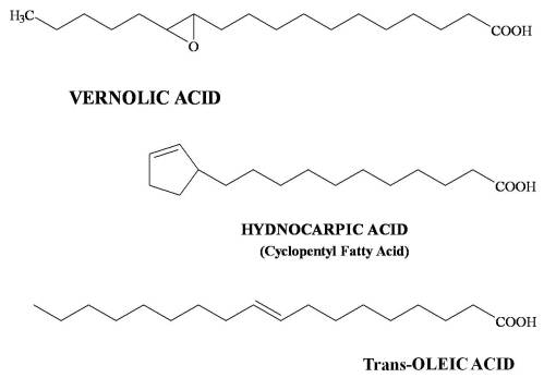 3FattyAcids