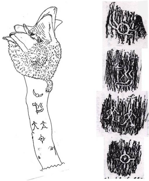 4IMAGES-MED 4 Levels of "Medicine"