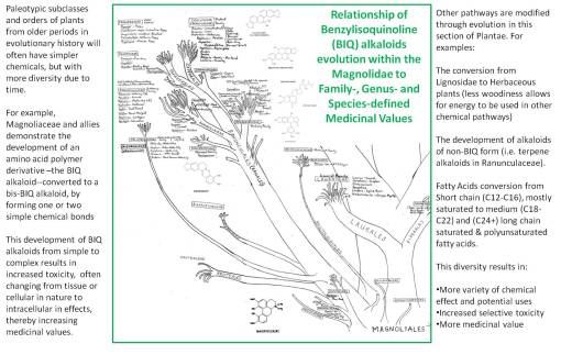 ChemEvolutionExample