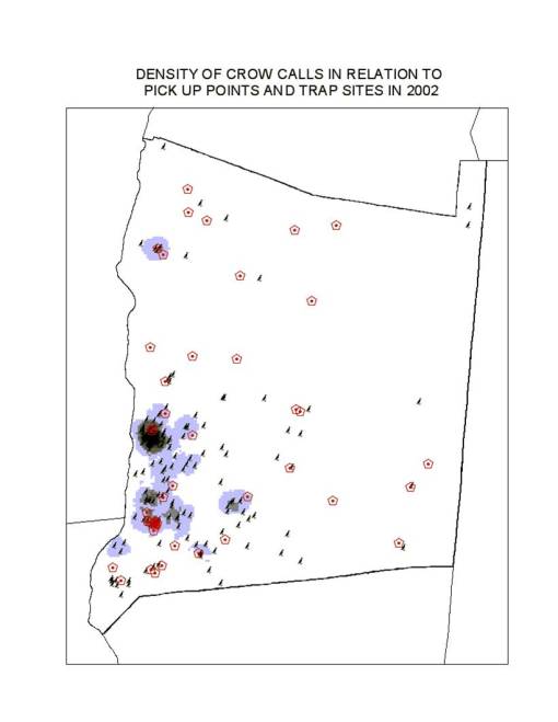 Crows Crow Density based on dead crow calls and field investigation