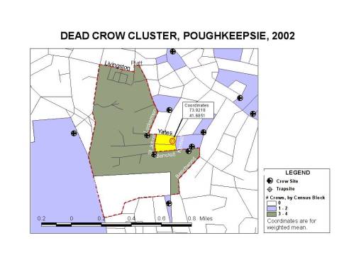 deadcrowcluster deadcrowcluster