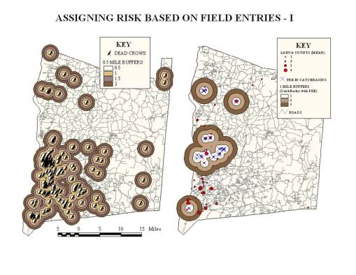 DeadCrowsandLarvaCounts Dead Crows and larva Counts on provide a small part of the Ecological Picture for West Nile Ecology