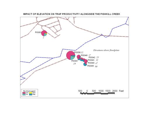 elevatnsppfkcreekjpg