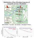 FishkillCreekElevation_x-y-axis-Study_withTopoAspect