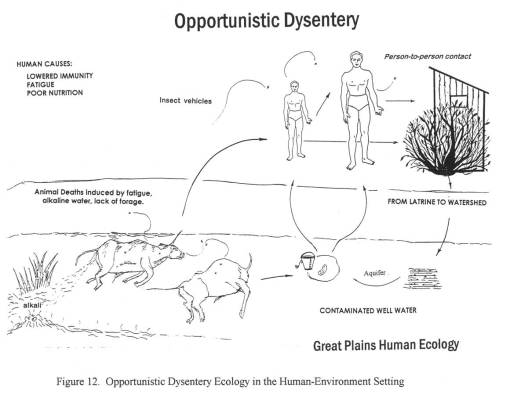 opportunisticdysentery