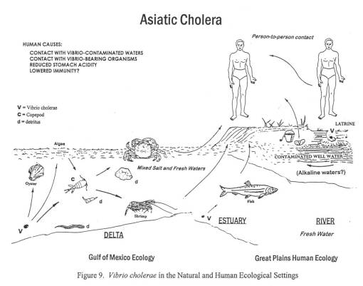 OrTrail_AsiaticCholera