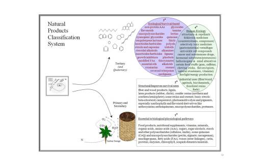 Phytochem_PrimarytoQuaternaryUses