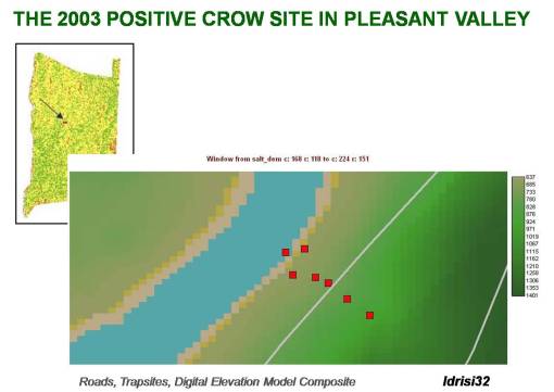 pleasantvalleypositivesite