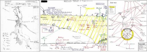 WappLakeEcology_Study_SUNYSB_1976