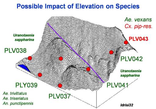 wfcreekslope wfcreekslope