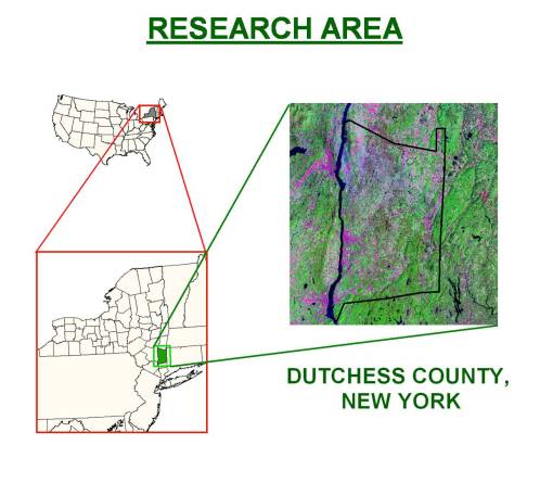 wnilerscharea wnilerscharea