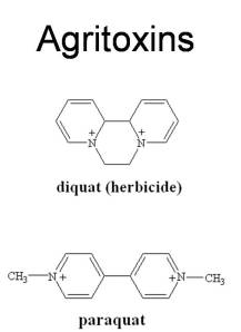 Benzenes and Aromaticity at the Next Level