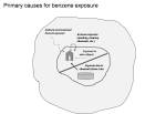 BenzeneExposureEnvirtlFlow