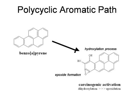 Polycyclic Aromatics