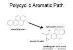 benzenes3_polycyclicaromatics