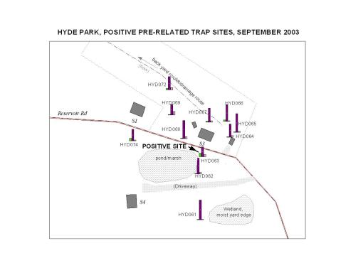 hydeparkpositivesitejpg The positive testing site for a Dead Crow Report