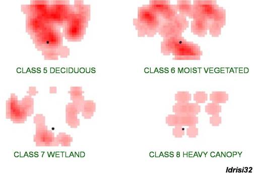 Reclass_4majorsiteclasses Idrisi Interpretation of Areal Phytoecological Features based on Reclass NDVI imagery