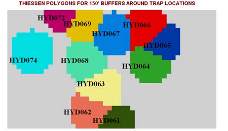 THPOLYTRAPID THPOLYTRAPID