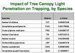 TreeLightCanopyTable