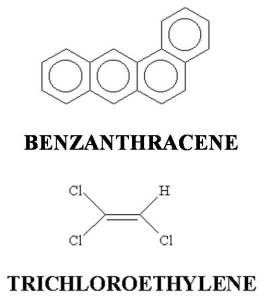 Two commonly cited carcinogens suspected at sites