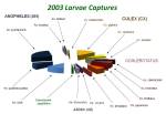 2003LarvaCatches