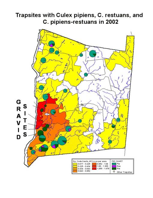 Culex species distributions in relation to Crow Call densities per Census Block Group Area