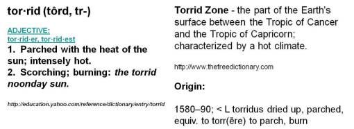 0_torrid4