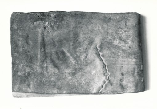 DrCorneliusOsbornManuscript_0082