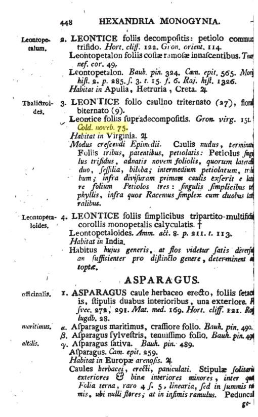 12_Leontice_thalictrioides