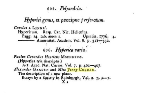 1800_Catalogus-bibliotechae-historico-naturalis-Josephi-Banks_p307_Hypericavaria_JennyColden