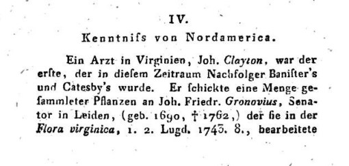 1817_Kurt-Sprengels-Geschichte-der-Botanik_v2_KurtPolycarpJoachimSprengel_ed_p332_IV-Kenntnifs-von-Nordamerica_Gronovius-Colden