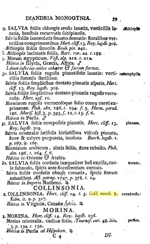 7_Collinsonia_canadensis