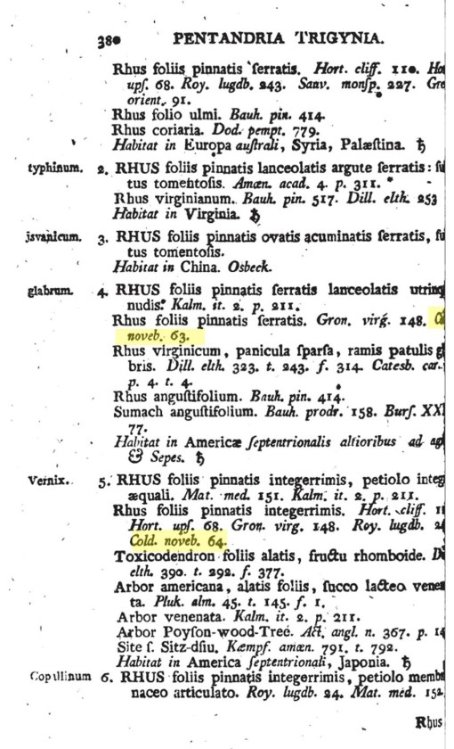 9,10_Rhus_glabrum,Rhus_vernix