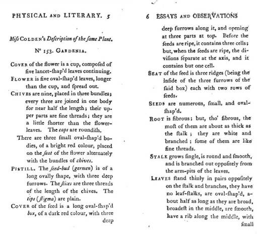 Essays-Obsvtns_5-6_Jenny