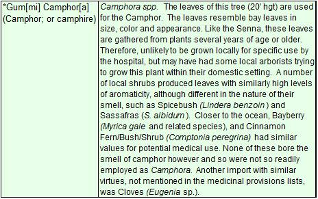 PlantMedicine_GumCamphor