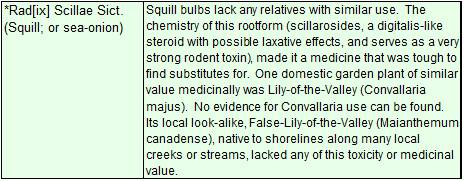 PlantMedicine_Squill