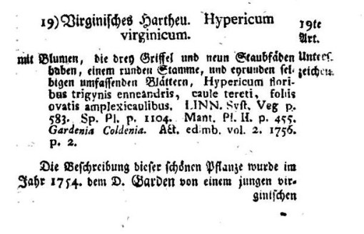 VollstandigesPflanzensystem_nach_der_13_abBd12_14lat_vol8_CarlVonLinne_Hypericumvirginicum_GardeniaColdenia_783
