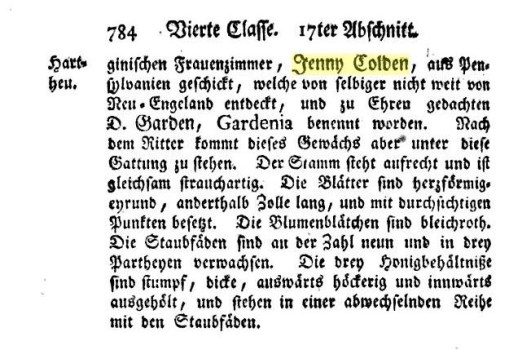 VollstandigesPflanzensystem_nach_der_13_abBd12_14lat_vol8_CarlVonLinne_Hypericumvirginicum_GardeniaColdenia_784