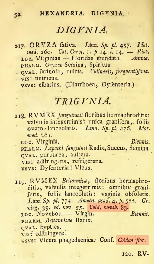 21_Rumex-Brittanica_usus