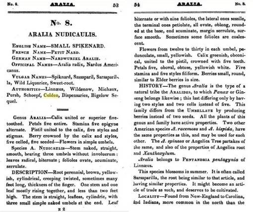 Aralia_p53-54
