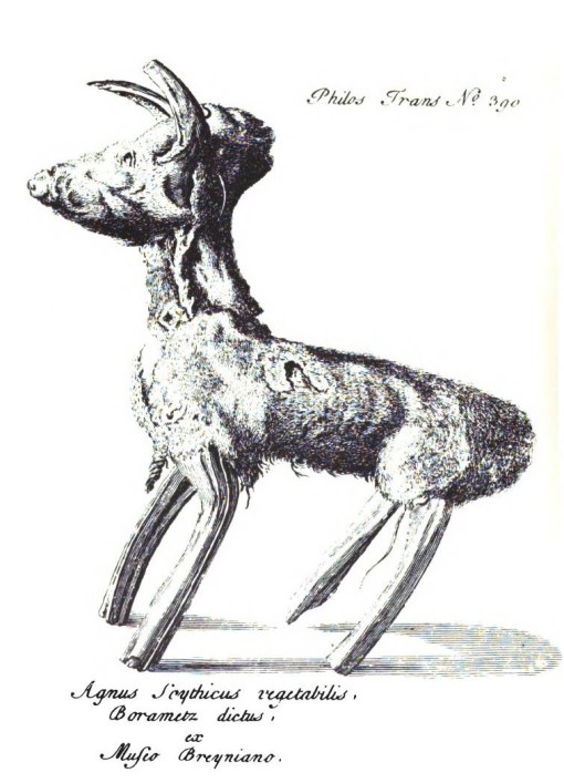 ScythianLamb