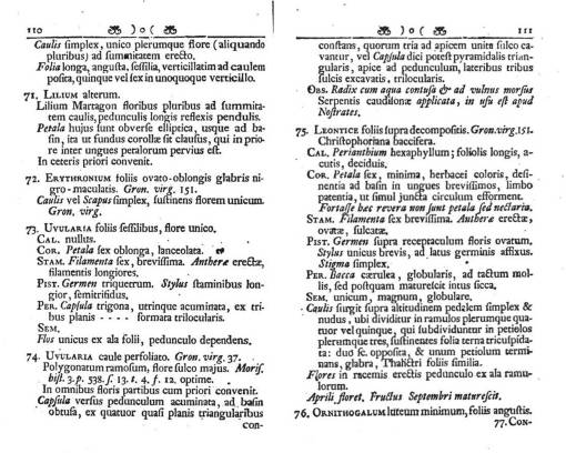 ActaSocReg1749_p110-111