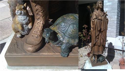 katrinasquirrelturtle2