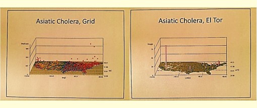 AsiaticCholera-allGrid_ElTor_nonGrid