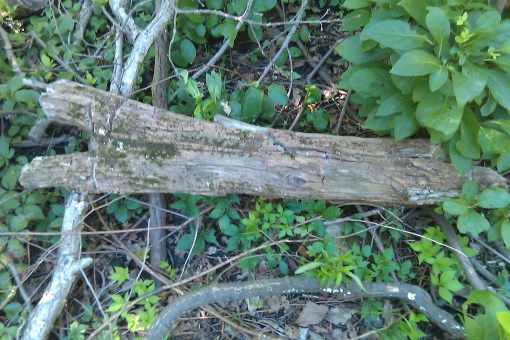 Fowler_OldArtesianWellY-Post