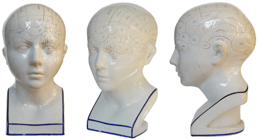 Phrenologybust1825