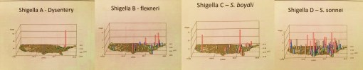 Shigella_4types