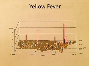 YellowFever