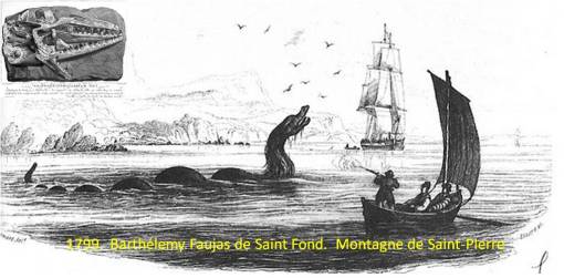 Fossil-of-a-Dragon-1799