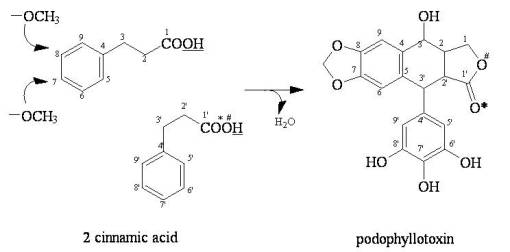 2cinnamicacid2podophyllin